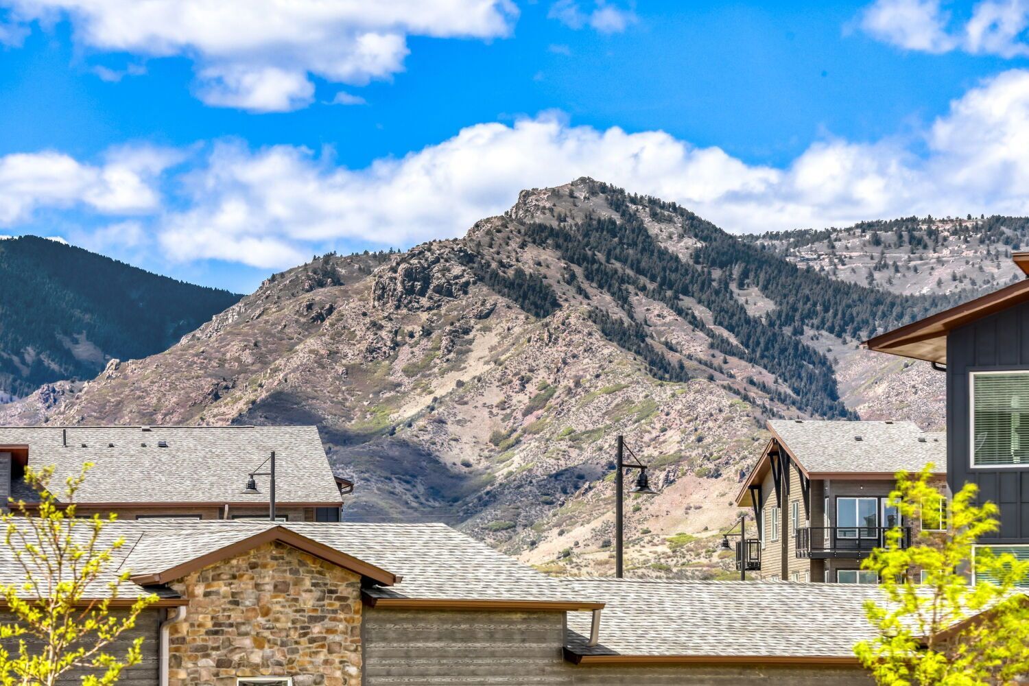 Modern 4-Bedroom Townhome for Rent in Prospect Village at Sterling Ranch property image