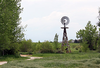 Sustainable Success: Navigating the 2026 Green Landscape in Highlands Ranch